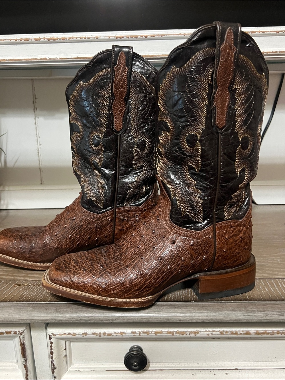 Dan Post Genuine Ostrich/Leather Western Boots - Picture 3 of 8